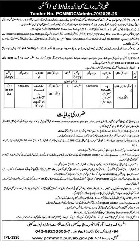 Punjab Catel Market Management & Development Company Lahore Tender Notice